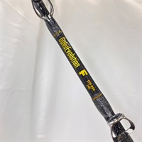 ゴクスペエボリューションＦ  １７０－２００